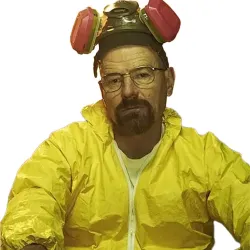 Breaking Bad Walter White Costume