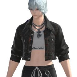 Hip Street FFXIV Cropped Black Jacket