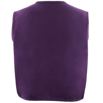 Aladdin Purple Vest