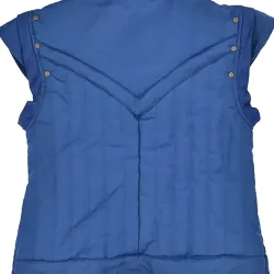 Rapunzel Flynn Rider Vest