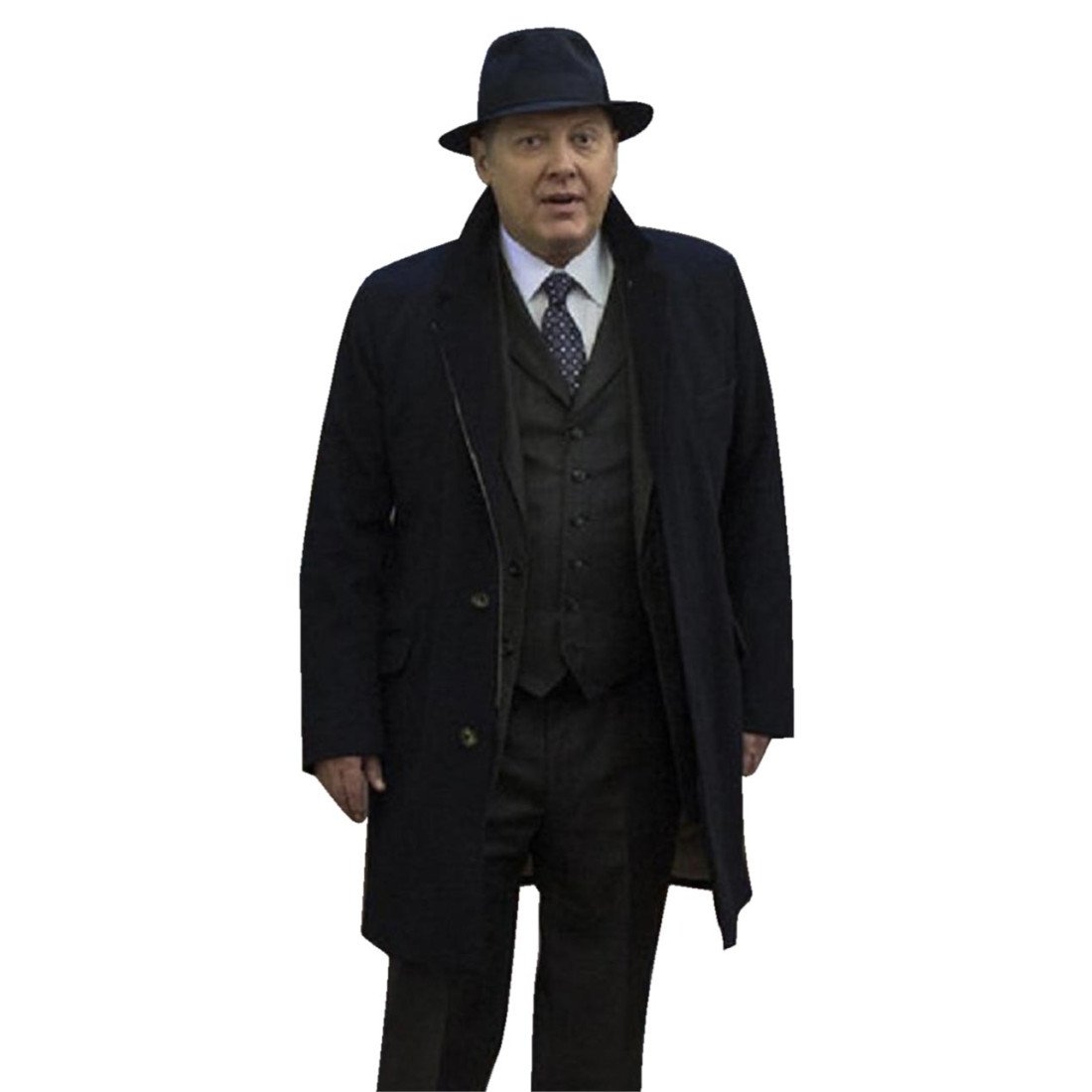 The Blacklist Raymond Reddington Coat - Films Jackets